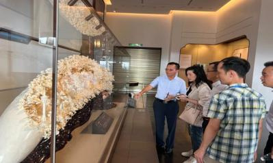 202306061523217568.png 202306061523217568.png