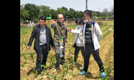 广东省昆虫学会秘书长赴三水、高州开展调研、指导