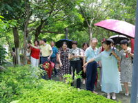 湛江市老科协开展“党建引领聚合力，岐黄古韵启新章”主题党建活动