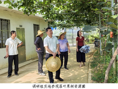乐昌市科协走访调研岭南落叶果树研究所1