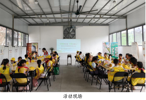 翁源县开展2025年“茶香传非遗 文明润童心”茶文化科普教育实践活动2