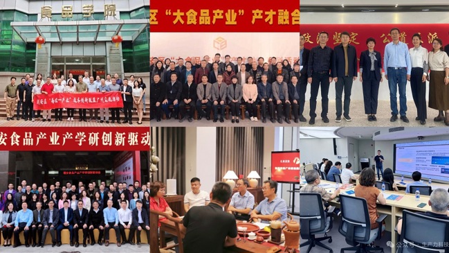 202512090335453059 (1)